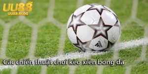 Cách chơi kèo xiên bóng đá và các chiến thuật chơi bất bại cho anh em